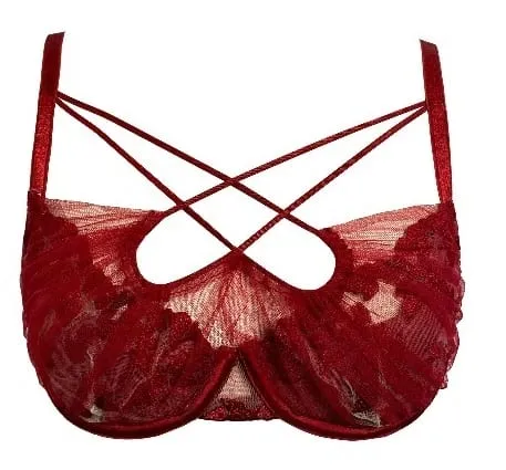 Hot Sale Summer Lace Embroidery Cross Tie Lingerie Set Sheer Mesh Push Up Bra Comfort Daily Wear Underwear Set for Women 32-38 — image 11