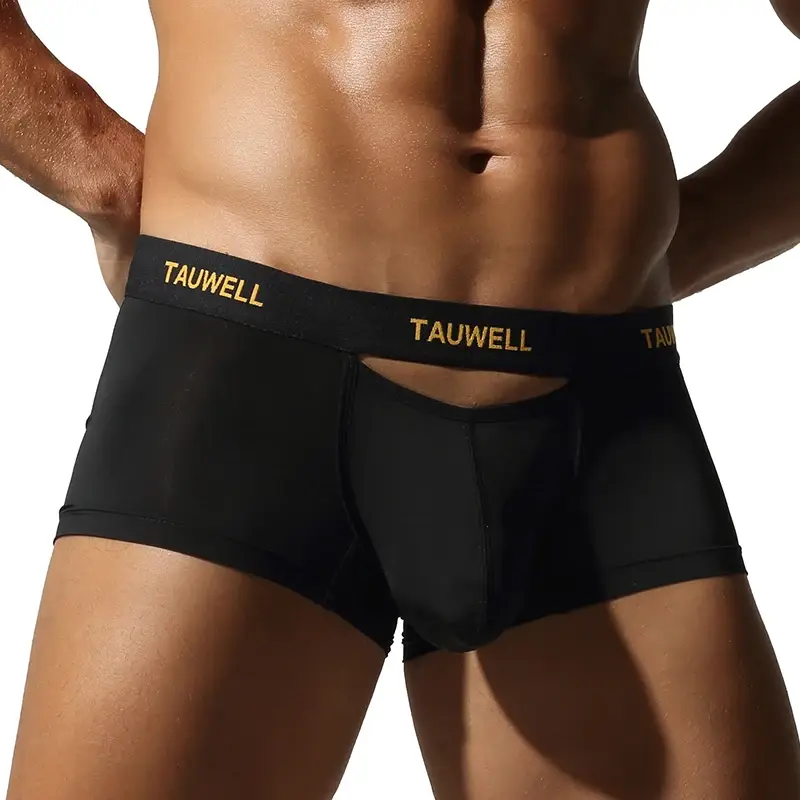 Men's Underwear Comfortable Cool Thin Sexy Semi-Transparent Flat Angle Pants with U-Shaped Pouch Briefs — image 9