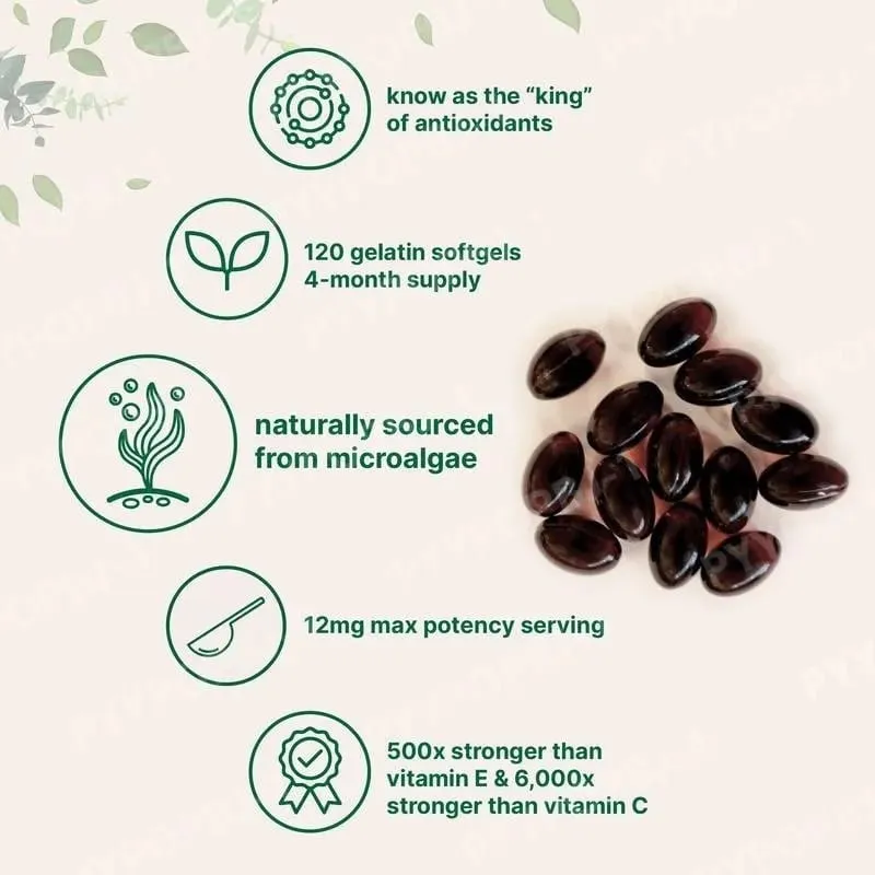Astaxanthin 12mg with Fresh Microalgae Source Daily Nutritional Support Antioxidant Supplement 120 Softgels