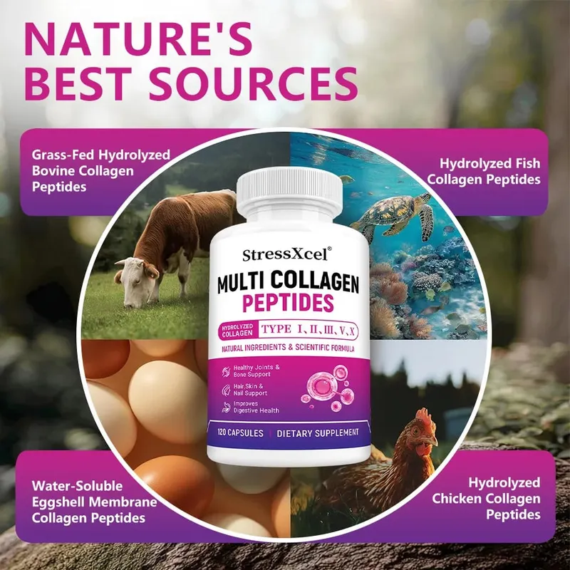 Κάψουλες Multi Collagen Peptides Type I II III V X Biotin Αντιγηραντική Δέρμα Μαλλιά Νύχια Αρθρώσεις Έντερο & Υποστήριξη Ανοσίας — image 5