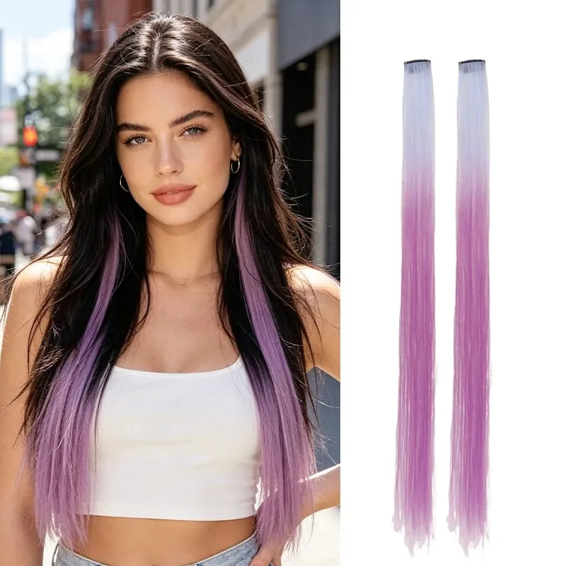 2Pcs Pack Two-Tone Ombre Highlight Clip in Wig Straight Hair Piece Synthetic Fiber Comb for Daily Party Look