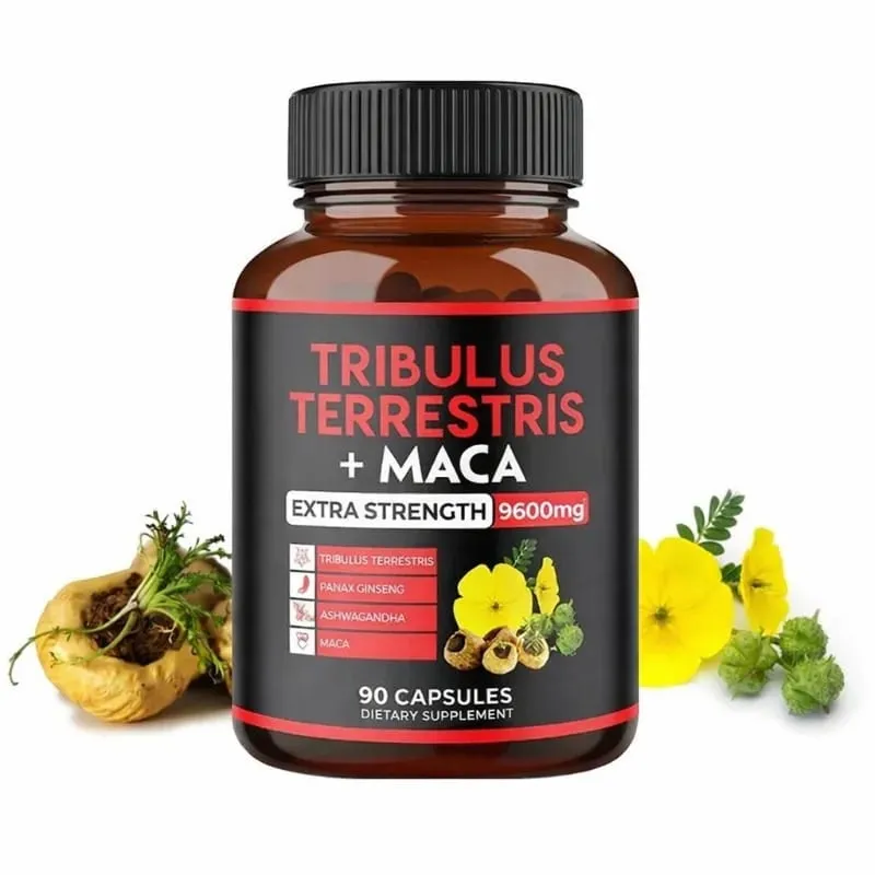 Le supplément Tribulus Terrestris + extrait de racine de maca soutient la vitalité énergétique Santé naturelle à base de plantes sans OGM 90 capsules végétaliennes