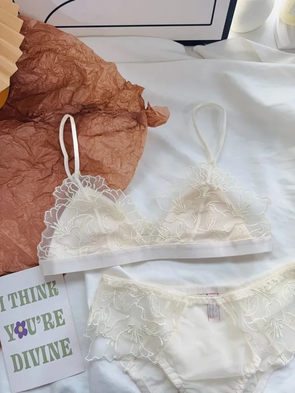 Women Lingerie Set French Luxury Lace Push Up No Wire Bra and Panty Set Breathable Ultra Thin Comfort Gather Underwear Clothing