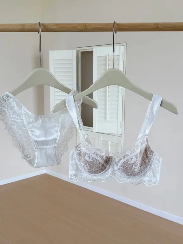 Sexy French Lace U-Back Minimizer Bra Set for Large Bust | Push Up Anti-Sagging Deep V Bralette | Summer Bestseller MOYISU Panty