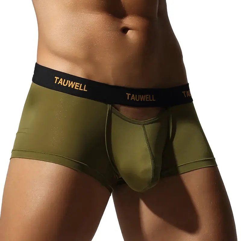 Men's Underwear Comfortable Cool Thin Sexy Semi-Transparent Flat Angle Pants with U-Shaped Pouch Briefs — image 11
