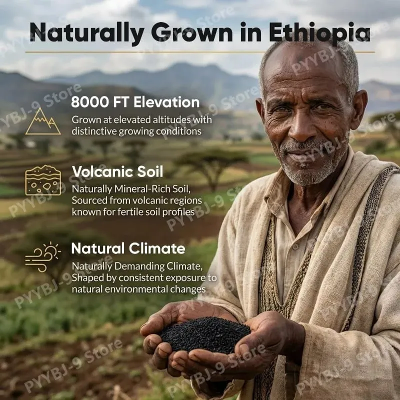 Ethiopian Black Seed Oil Softgels 800 mg za studena lisovaný bylinný extrakt kapsle Denní podpora rovnováhy zdraví Bez GMO Počet 60 — image 4
