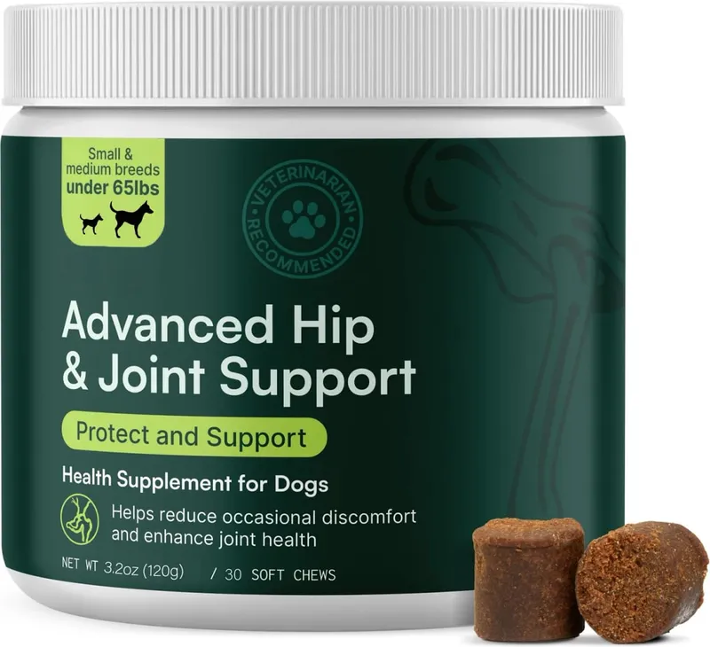 中小型犬種的高級狗髖關節和關節補充劑 - 葡萄糖胺軟骨素 Omega 3 MSM 綠唇貽貝 — image 2