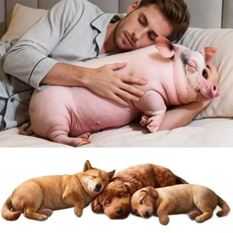 Material Animal Body Pillow PP Cotton Filled 40cm Size Poultry Throw Pillows Soft Texture Cute Design Bag Decoration For — image 1
