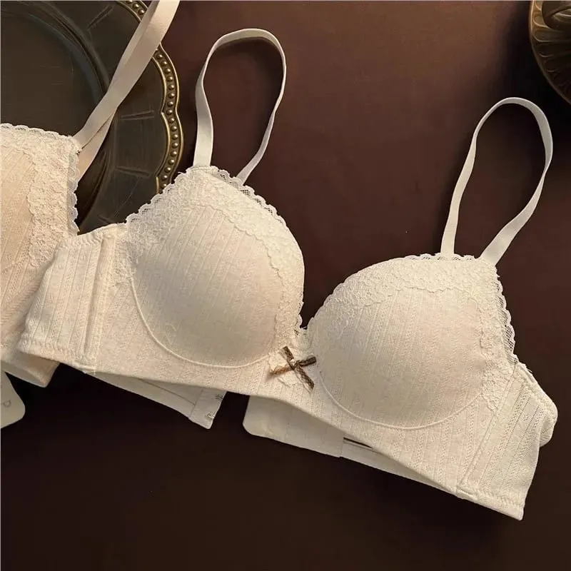 Sexy Lace Floral Bra Set Comfortable Non-steel Ring Beauty Back Small Breasts Gathered Up Support Anti-sagging Teenage Bra Set