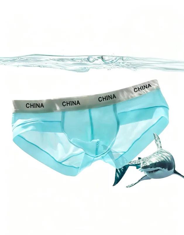 Slip en soie glacée pour hommes, Ultra fin, respirant, transparent, sous-vêtements doux, large ceinture, culotte confortable et fraîche, couleur aléatoire, 1 pièce — image 2