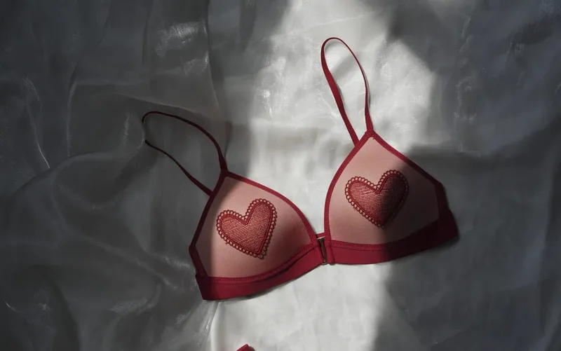 Red Lingerie Set Wireless Front Hook Bra French Triangle Thin Cup Embroidery Bra Set For Festival Soft Comfortable Daily Use