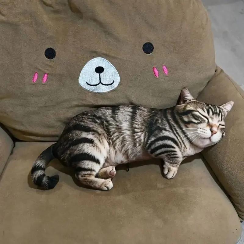Pig Shaped 3D Plush Pillow Super Soft Comfortable Fabric Decorative Cushion for Living Room Sofa Bed