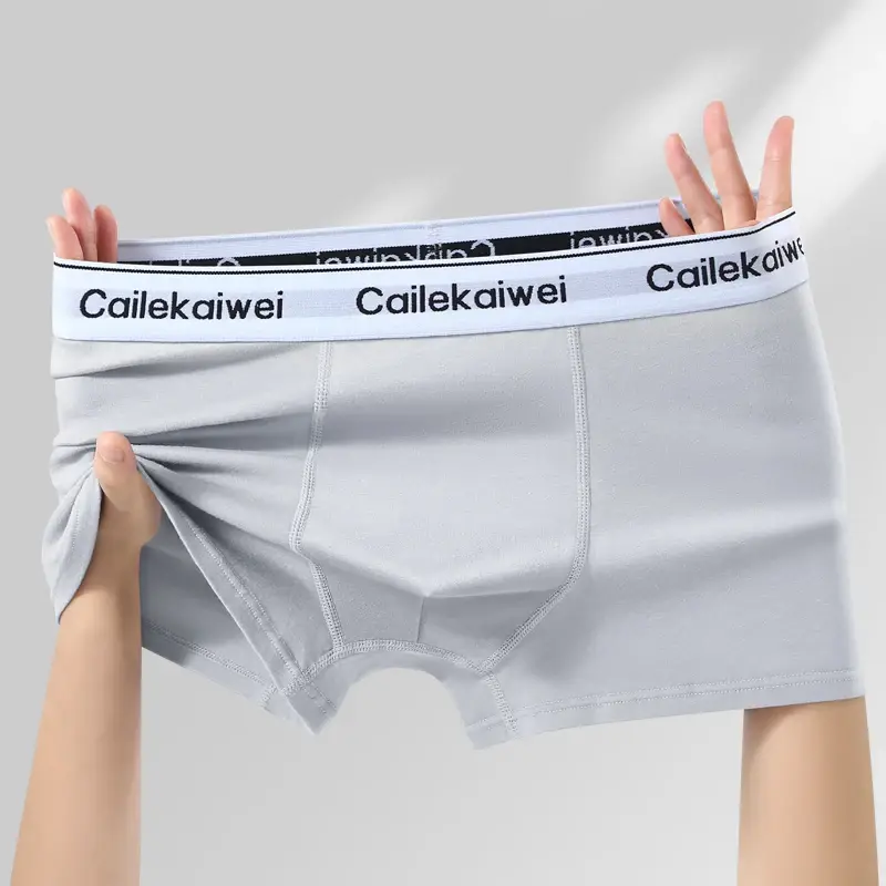 5Pcs Boxer Shorts Men's Underwear Sexy Panties Pure Cotton Solid Elasticity Man Underpants Male Boxers Homme U Convex Lingerie — image 14