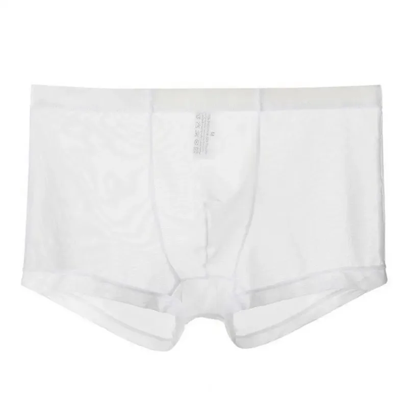 Genomskinliga boxershorts för män genomskinlig manliga kalsonger Sexiga Mesh Låg midja Is Silke Tunn Kylning Herr Trosor Herr Underkläder