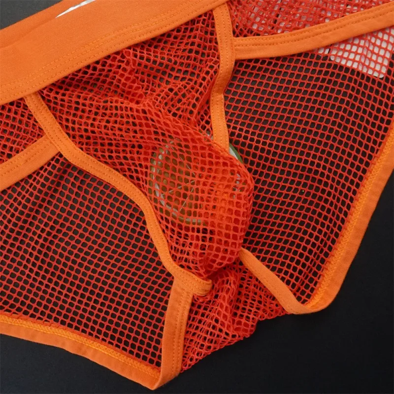 Plus Size Mesh Underwear Men Transparent Large Fishnet U Pouch Briefs Male Low Waist Solid Color Sexy Perspective Male Panties — image 16