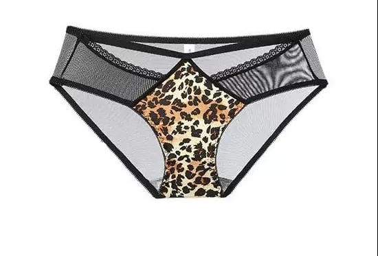 Victoria Style MOYISU Pink Leopard Wireless Bra Set Front Hook Design Push Up Bralette Sexy Back Lingerie To Boost Small Bust