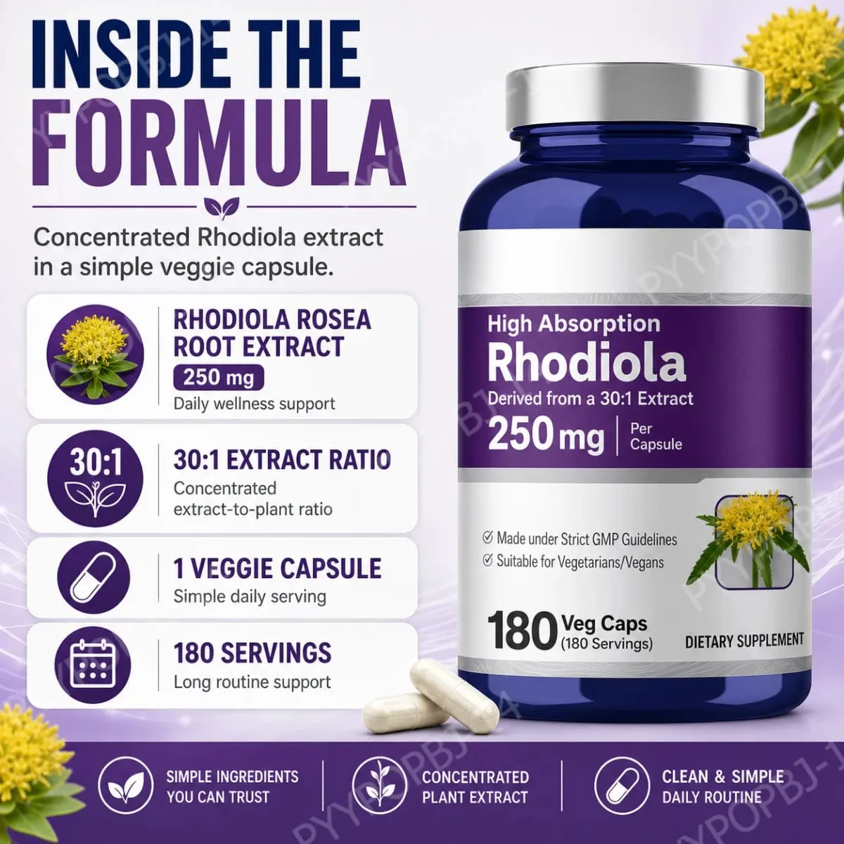 Rhodiola Rosea Supplement 180 Capsules 250mg Plant Extract per Serving Stress Reduction Energy Boost Cognitive Function Support