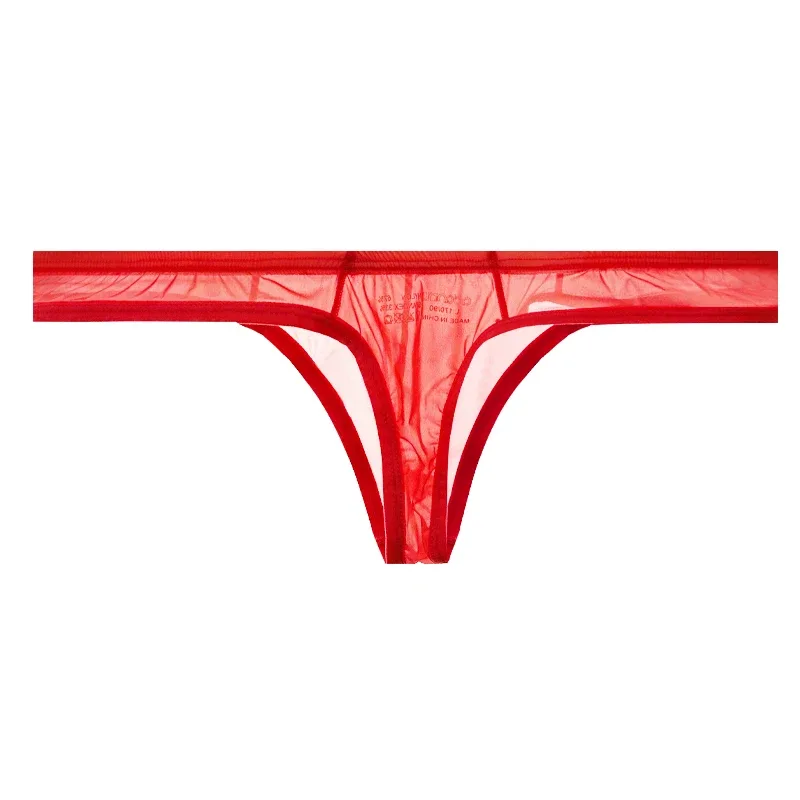 Ultra Thin Sheer Briefs Men Underwear Cooling Knickers Low Rise Bulge Pouch Underpants Soft Mesh Panties Male Thong Pants — image 17