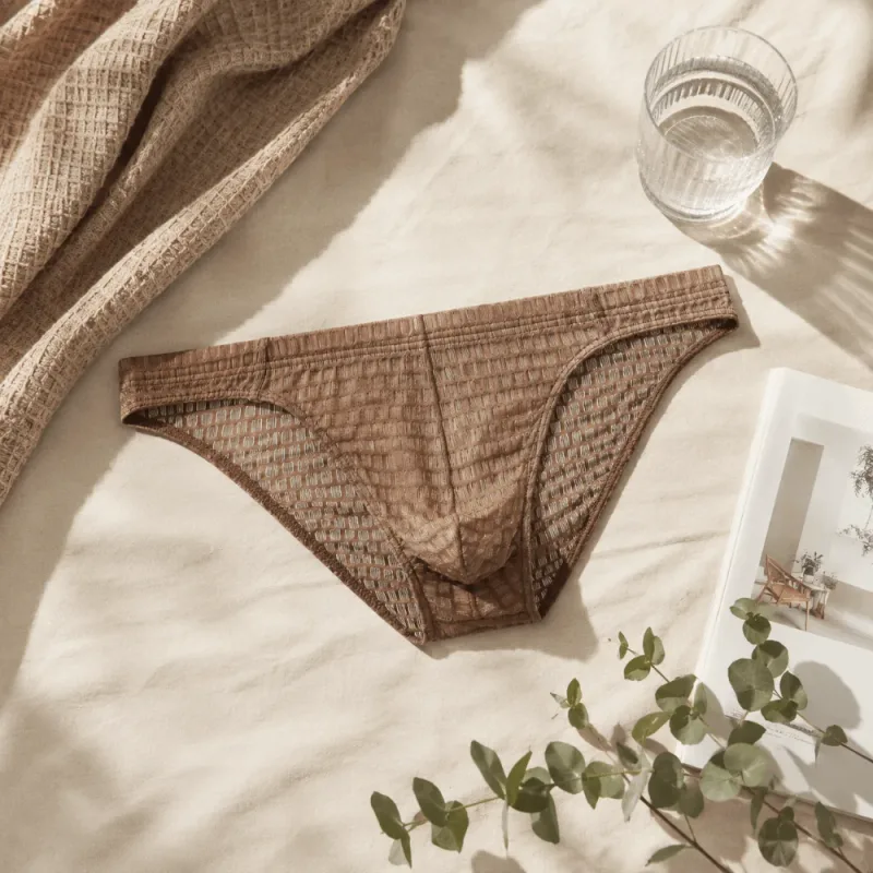 Breathable Low Waist Men's Briefs Transparent Ultra-thin Ice Silk Underwear Lingerie Mesh Panties Male Comfort Fit