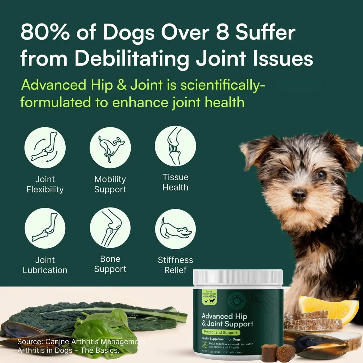 中小型犬種的高級狗髖關節和關節補充劑 - 葡萄糖胺軟骨素 Omega 3 MSM 綠唇貽貝 — image 3