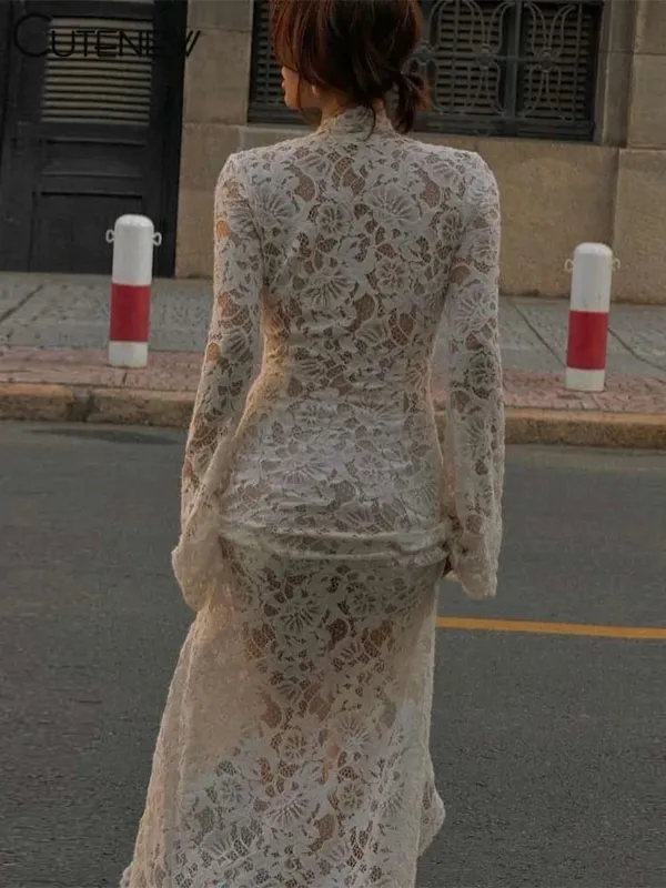 Cutenew-Vestido largo de encaje transparente para mujer, vestido Sexy liso de manga larga con cuello redondo, vestido ceñido, bata de noche impresionante para mujer