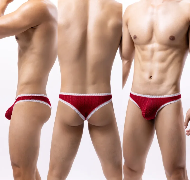 Men's Lace Briefs Wheat Ear Trim Sexy High Elastic Soft Breathable Quick Dry Comfort Stylish Underwear Daily Nightclub Wear — image 12