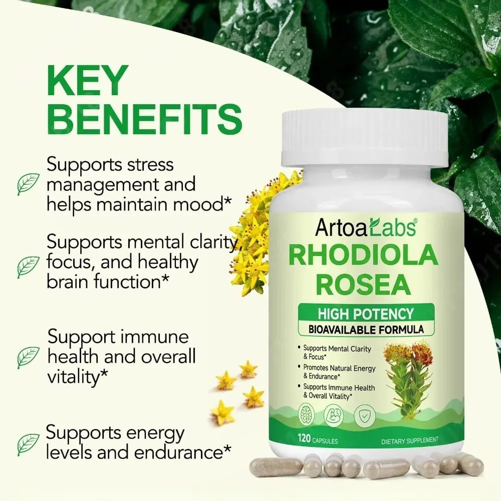 Rhodiola Rosea Capsules High Potency Formula Supports Mental Clarity & Focus Energy & Endurance Immune Health & Vitality 120 Ct — image 2