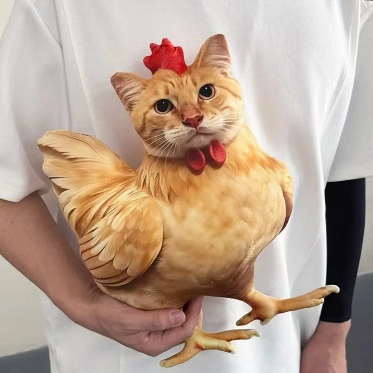 Kat Kylling Sjov nyhed Blød plyspude Sødt dyr fyldt sofapude 3D Orange Tabby Killingdukke — image 5
