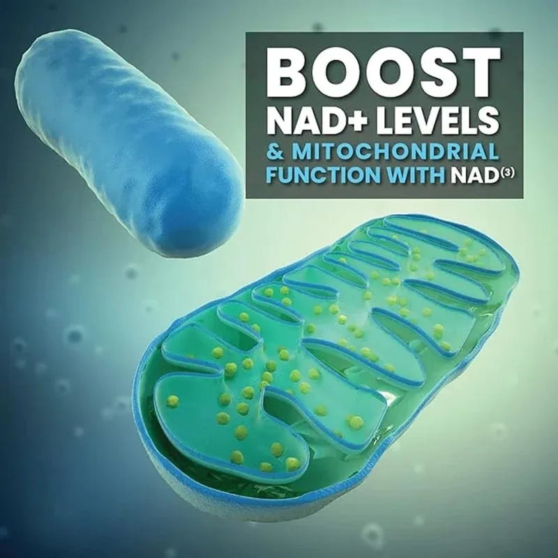 תוסף קפסולות NAD Liposomal NAD+ תוסף - Aging Defense Cellular Energy תפקוד הלב והמוח