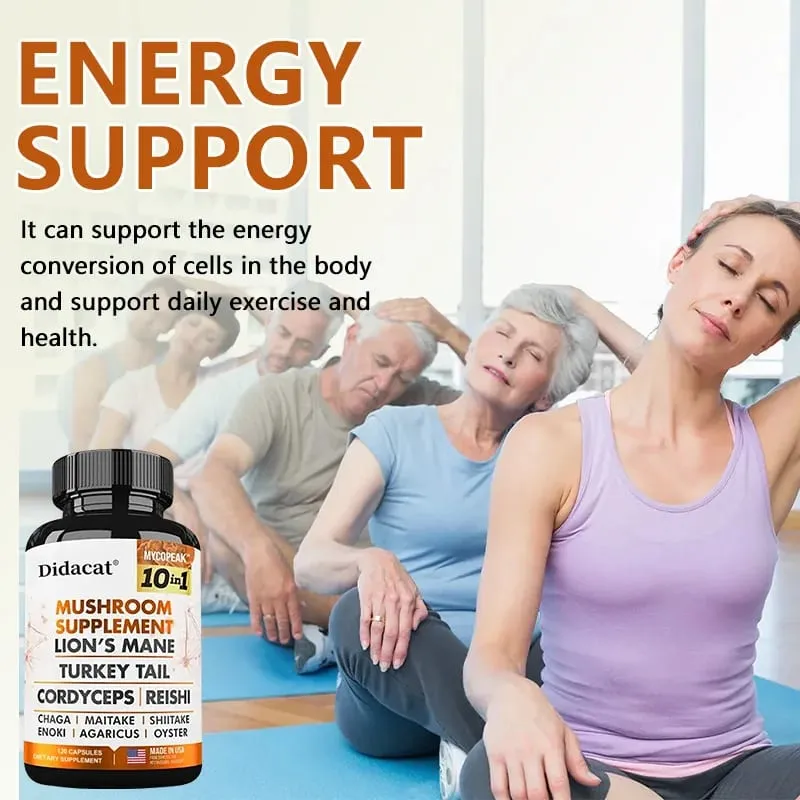 Didacat 10x Mushroom Complex Capsules with Lions Mane Chaga Nootropic Brain Supplement for Memory and Immunity