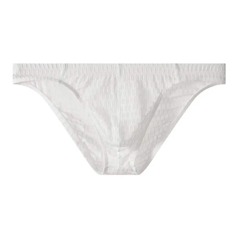 Men's Breathable See Through Underwear Briefs With Low-Waist Design And U Convex Pouch For Support And Comfort