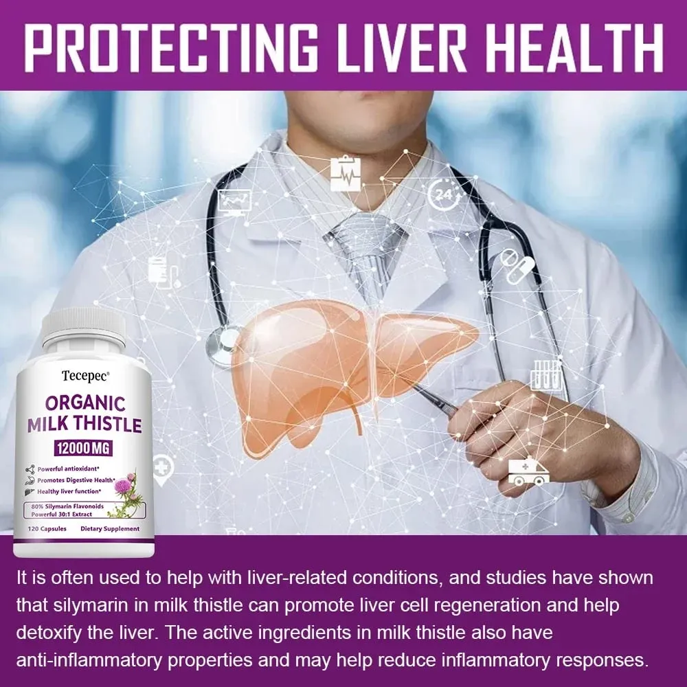 Estratto di cardo mariano biologico Capsule da 12000 mg Salute dell'apparato digerente del fegato Supporta la funzionalità epatica Antiossidante Non OGM Vegetariano — image 3