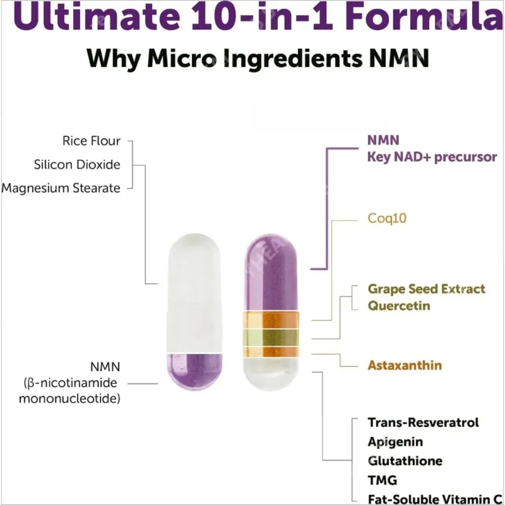 NMN Capsules 1000mg Per Serving with Resveratrol CoQ10 Vitamin C Vegan Formula Daily Wellness Supplement Clean Ingredients 120Ct — image 3