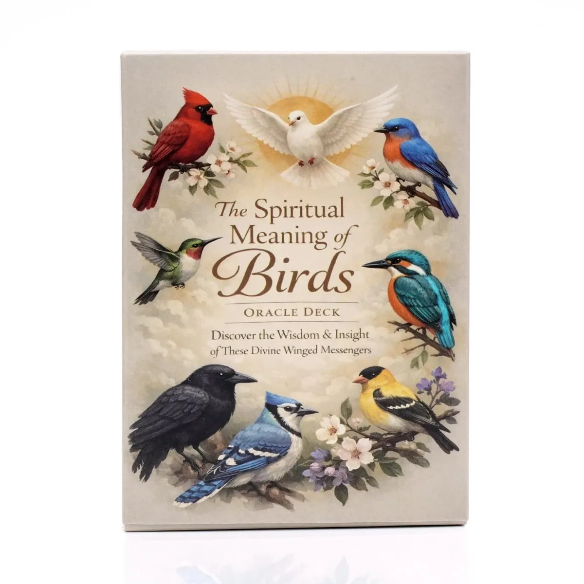 Spiritual Bird Oracle Card Deck 50 Feathered Messenger Cards for Intuitive Reading Symbolic Guidance Daily Reflection Nature Ins — image 1