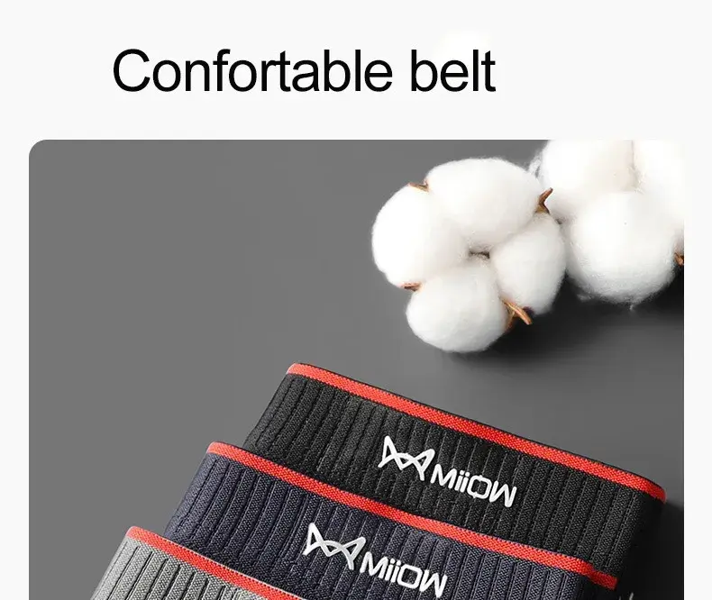 MiiOW PLUS 5XL 3/4Pcs Striped Panties Boxershorts Men Underwear Organic Cotton Boxer Shorts Antibacterial Seamless Underpants