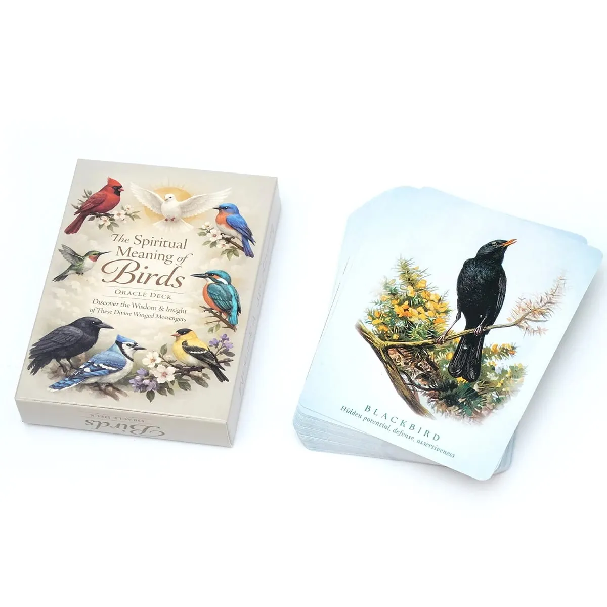 Spiritual Bird Oracle Card Deck 50 Feathered Messenger Cards for Intuitive Reading Symbolic Guidance Daily Reflection Nature Ins — image 5