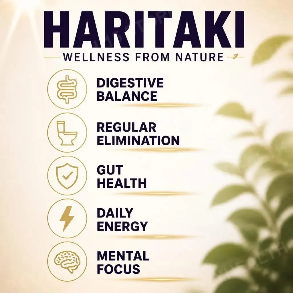 Haritaki Fruit Powder Capsules Supports Digestive Balance and Gut Health Mental Focus Single Ingredient 30 Servings 60 Capsules