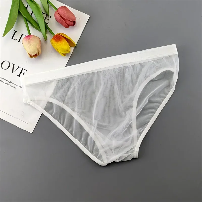 Plus Size Transparent Underwear See Through Sexy Briefs for Men with Pouch Nylon Hombre Slips Breathable Male Panties XL-4XL — image 27