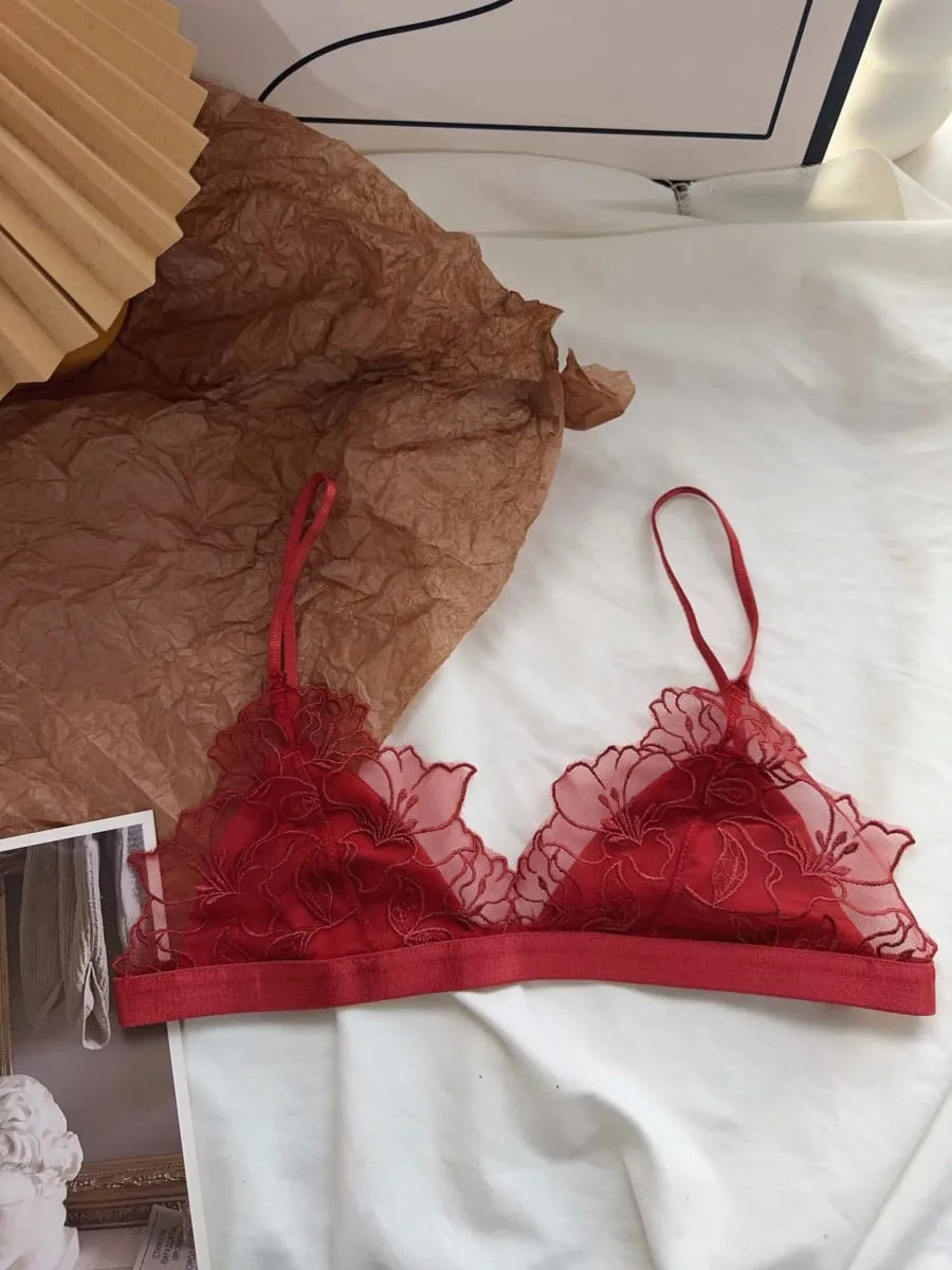Women Lingerie Set French Luxury Lace Push Up No Wire Bra and Panty Set Breathable Ultra Thin Comfort Gather Underwear Clothing — image 5