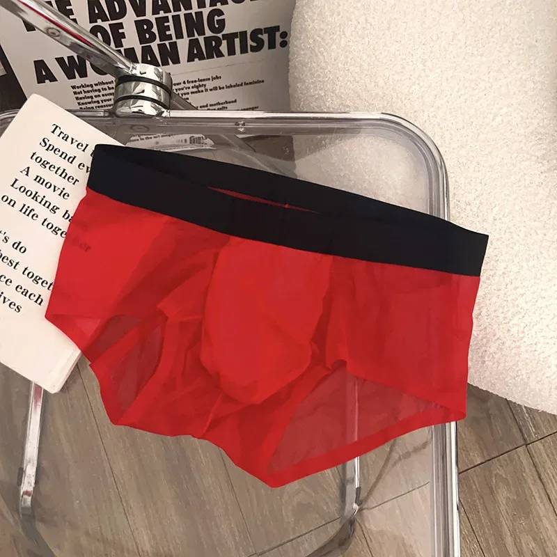 Transparent Men's Briefs Ultra-thin Ice Silk Quick Dry Panties Sexy U Bulge Pouch Man Underwear Breathable Underpants Cuecas — image 28