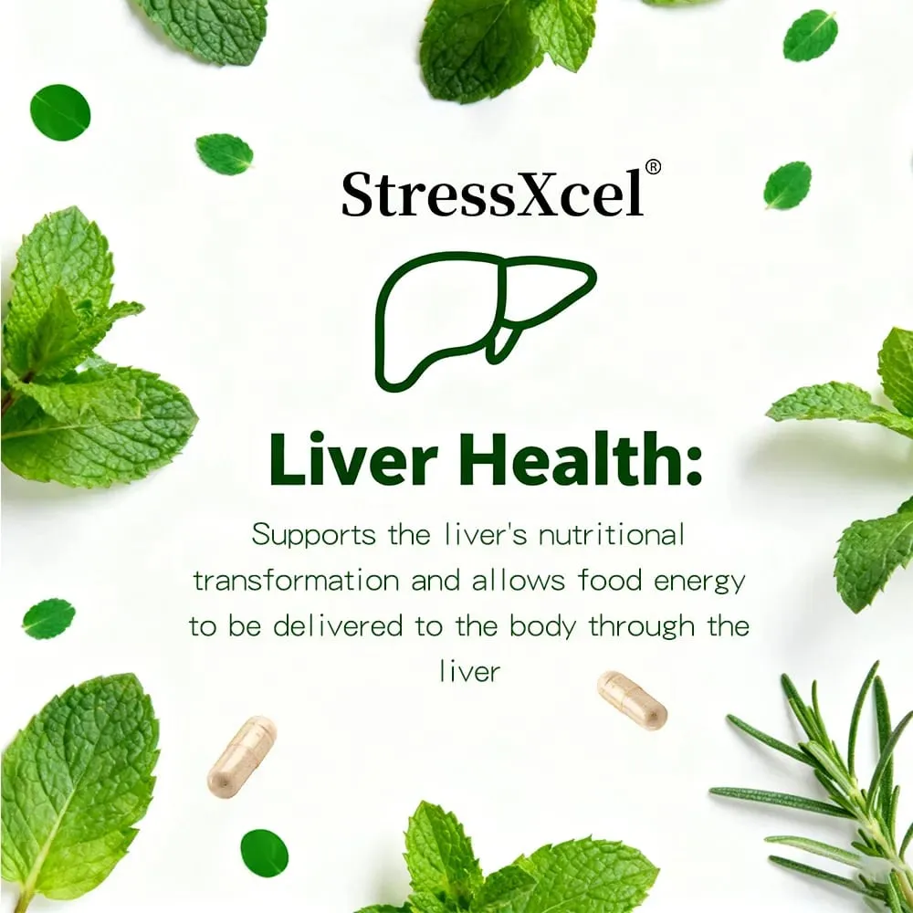 Chlorophyll Capsules with Peppermint - Supports Internal Cleanse Gut Health pH Balance Natural Freshness & Daily Wellness — image 7