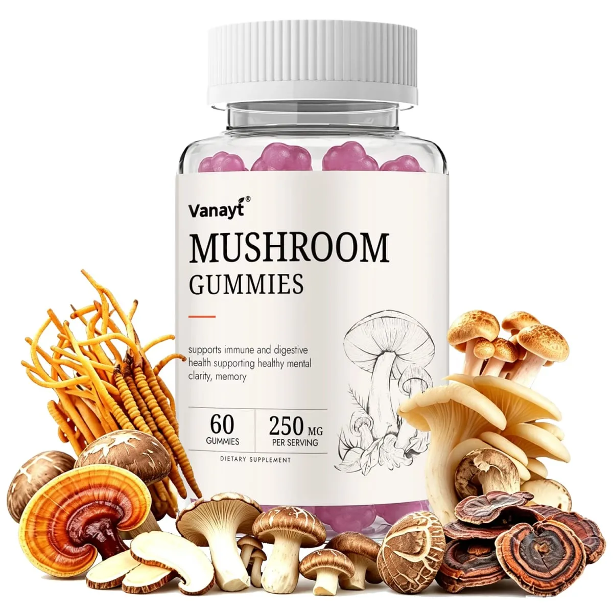 250mg Mushroom Super Blend Complex - Brain Nervous System Health and Memory Supplements Immunity Sleep Energy Mood Support — image 2