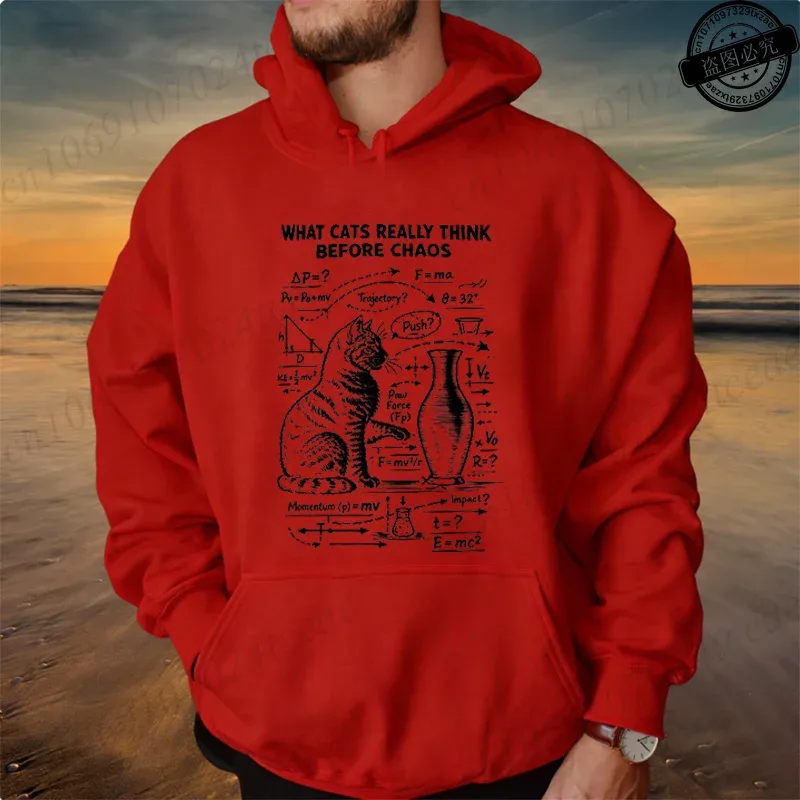 Funny Cat Physics Design Hoodies Math Science Humor Cat Print Sweatshirt Personalized Men Women Casual Streetwear Fashion Hoodie — image 18
