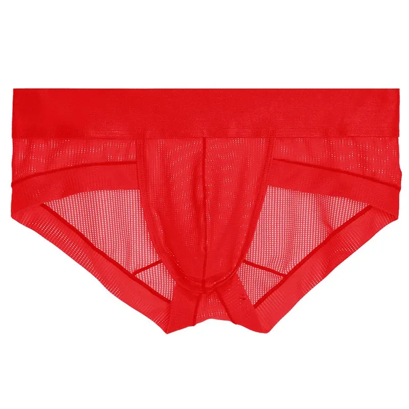 New Underwear for Men's Briefs Cueca Masculina Ropa Interior Hombre Calzoncillos Slip Mesh Breathable Panties S-XL