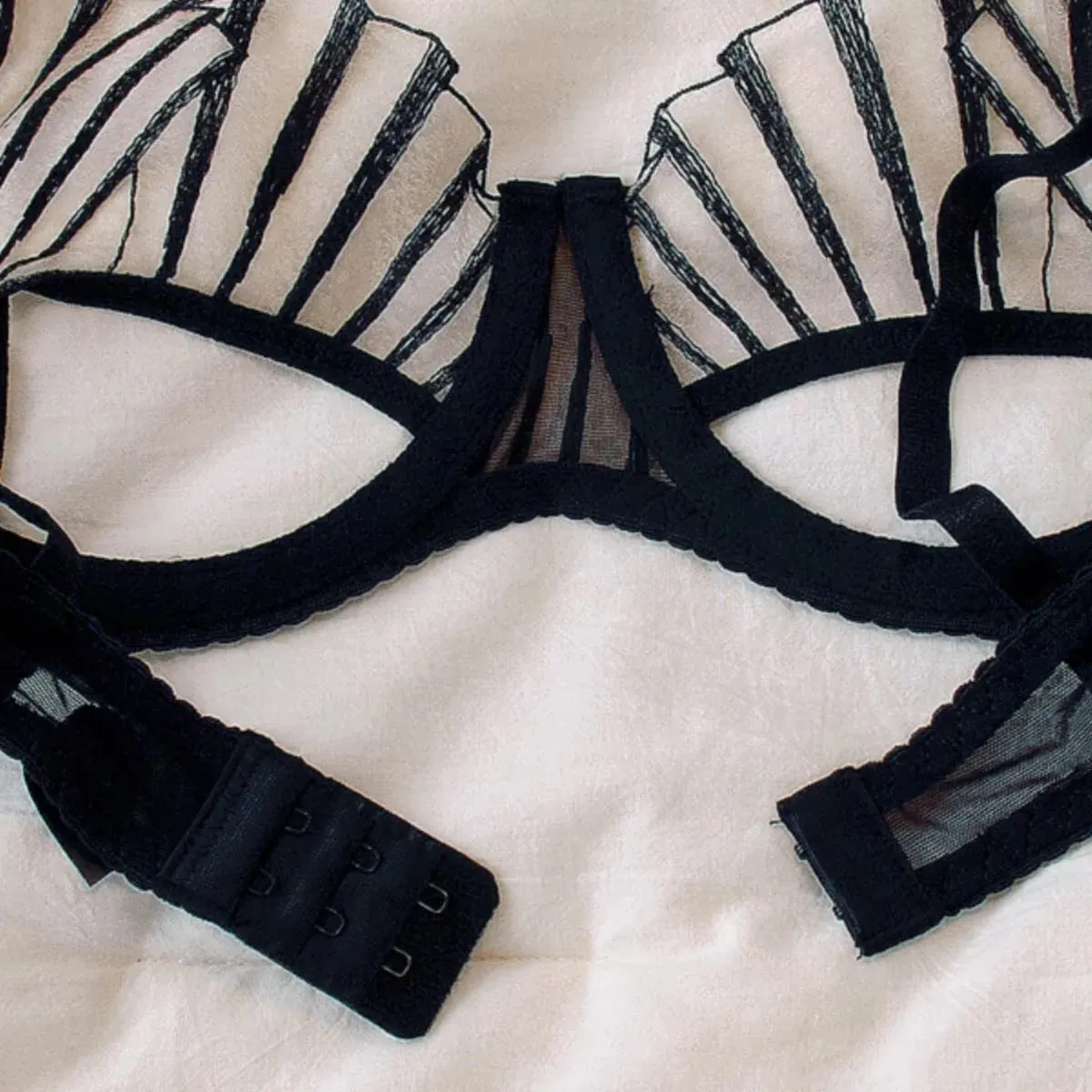 2-piece Women's Brief Sets Black Scallop Chest Cup Embroidered Lingerie Set Underwear Black Mesh Hot Unlined Minimizer Bra