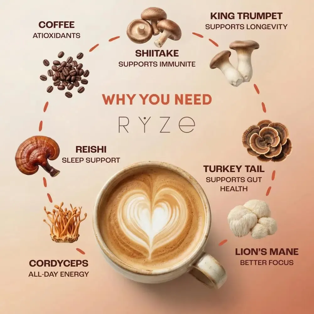 Organic Mushroom Coffee Powder with 6 Adaptogenic Mushroom Daily Instant Coffee for Better Energy Focus Digestion Immunity — image 3