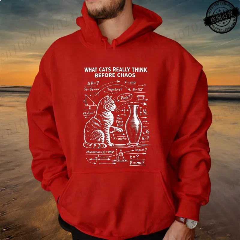 Funny Cat Physics Design Hoodies Math Science Humor Cat Print Sweatshirt Personalized Men Women Casual Streetwear Fashion Hoodie — image 20