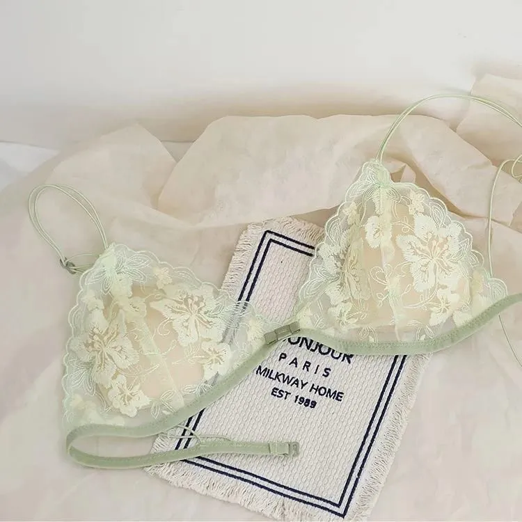 Ultra Thin Bralette for Small Bust Women French Lace Embroidery Wireless Comfort Sexy Back Beauty Everyday Bra Set BANERDANNI — image 8