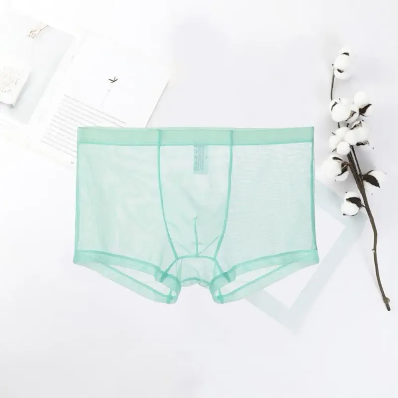 Genomskinliga boxershorts för män genomskinlig manliga kalsonger Sexiga Mesh Låg midja Is Silke Tunn Kylning Herr Trosor Herr Underkläder — image 13