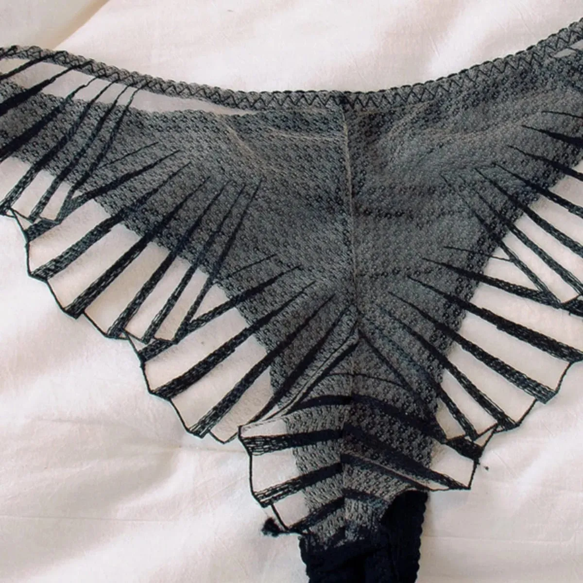 2-piece Women's Brief Sets Black Scallop Chest Cup Embroidered Lingerie Set Underwear Black Mesh Hot Unlined Minimizer Bra